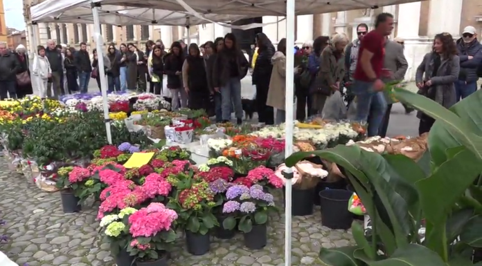 MODENA IN FIORE, OLTRE 160 GLI ESPOSITORI PER LA FESTA DI PRIMAVERA