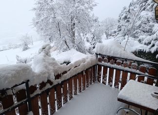 TG QUI GIOVEDI’ 26 MARZO 2026