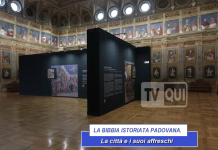 LA BIBBIA ISTORIATA PADOVANA. La città e i suoi affreschi