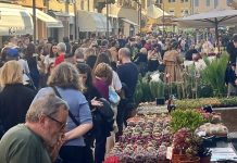 PIAZZA MARTIRI E DINTORNI, TORNA CARPINFIORE