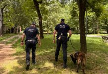 AREE VERDI AL SETACCIO: SCOVATI HASHISH E COCAINA GRAZIE AL FIUTO DEL CANE ANTIDROGA